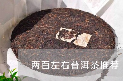 两百左右普洱茶推荐/2023120520700