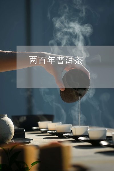 两百年普洱茶/2023042753374