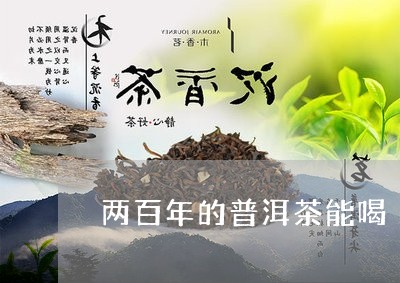 两百年的普洱茶能喝/2023111007359