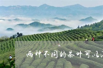 两种不同的茶叶可以混合泡吗/2023052677169