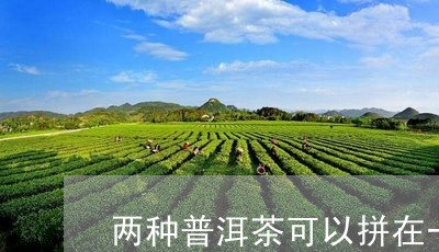 两种普洱茶可以拼在一起喝吗/2023052823616