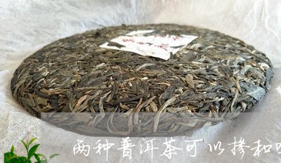 两种普洱茶可以掺和吗/2023092742713