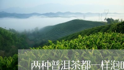 两种普洱茶都一样泡吗/2023061474059