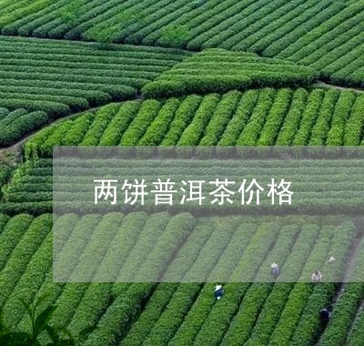 两饼普洱茶价格/2023120351714