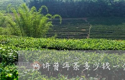 两饼普洱茶多少钱一盒/2023061300503