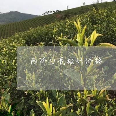 两饼白毫银针价格/2023090756150