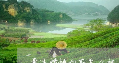 严选精挑白茶怎么样/2023071483606