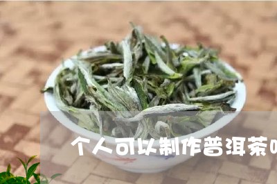 个人可以制作普洱茶吗/2023062500482