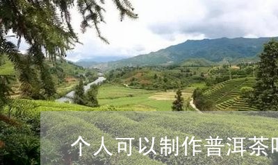 个人可以制作普洱茶吗/2023080158179