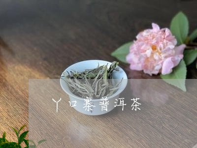 丫口寨普洱茶/2023042516808