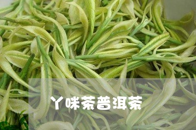 丫咪茶普洱茶/2023042894847