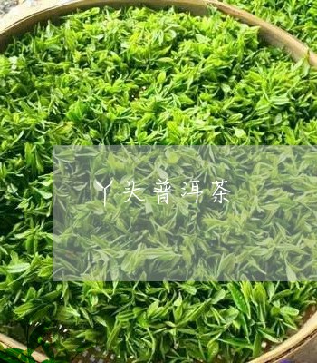 丫头普洱茶/2023090561604