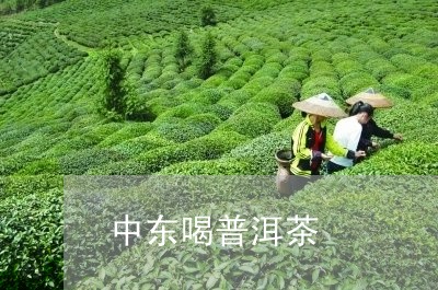 中东喝普洱茶/2023101680585