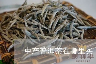 中产普洱茶在哪里买/2023112458381