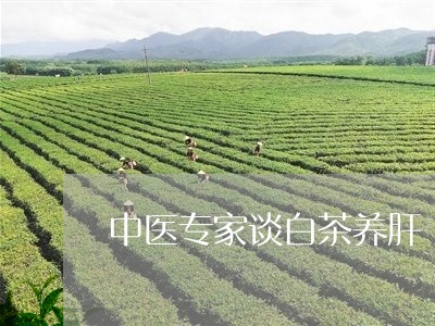 中医专家谈白茶养肝/2023121650847