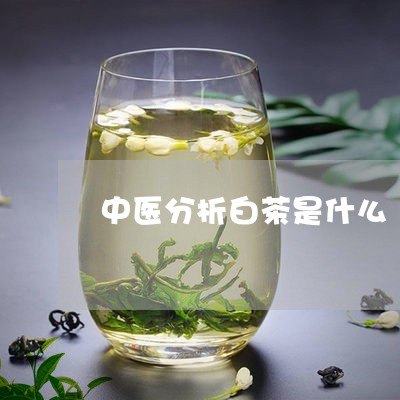 中医分析白茶是什么/2023121651715