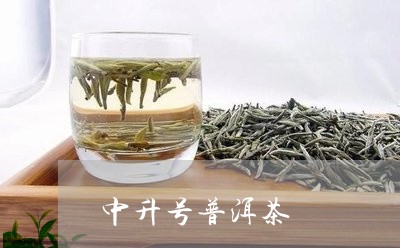 中升号普洱茶/2023042813193