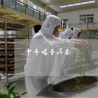 中午喝普洱茶/2023042839964