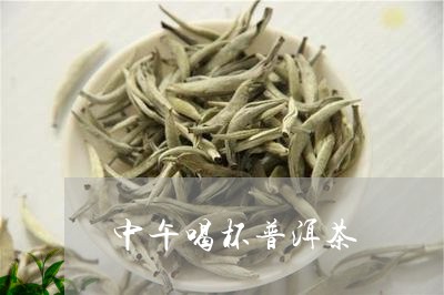 中午喝杯普洱茶/2023102661735