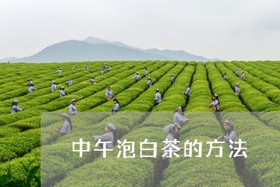 中午泡白茶的方法/2023061422945