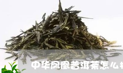 中华凤凰普洱茶怎么样/2023062908360