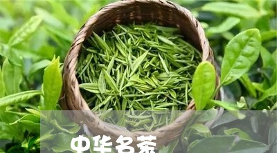 中华名茶/2023090151724