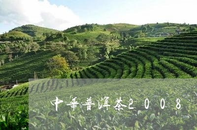 中华普洱茶2008/2023091476269