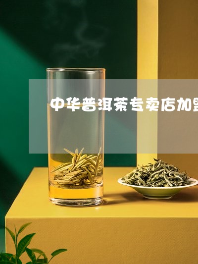 中华普洱茶专卖店加盟/2023061457160