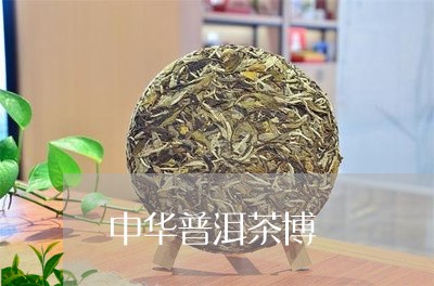 中华普洱茶博/2023042760613