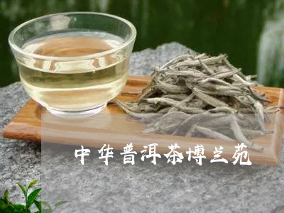 中华普洱茶博兰苑/2023120472716