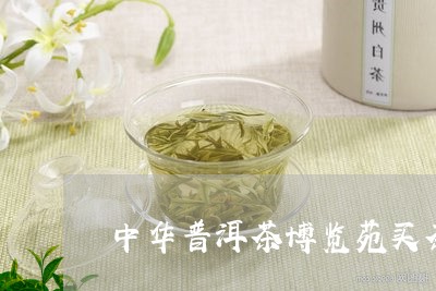 中华普洱茶博览苑买茶/2023080262725