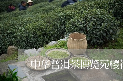 中华普洱茶博览苑樱花/2023100869403