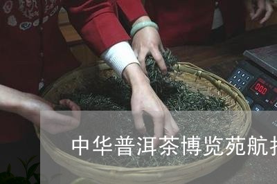 中华普洱茶博览苑航拍图/2023103129493