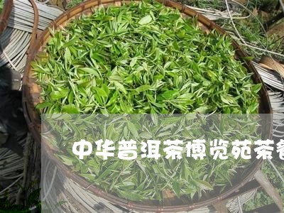 中华普洱茶博览苑茶餐/2023080380382