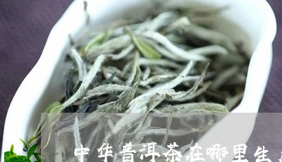 中华普洱茶在哪里生产的/2023050781525