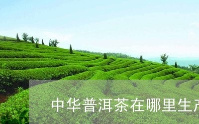 中华普洱茶在哪里生产过/2023082882815