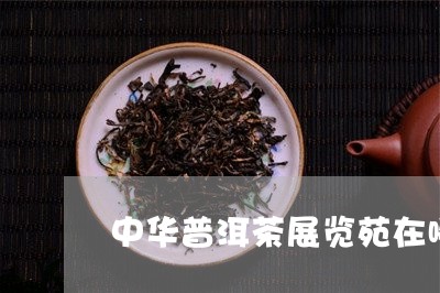 中华普洱茶展览苑在哪里/2023102435938