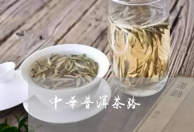 中华普洱茶路/2023042682171