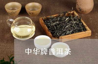 中华牌普洱茶/2023042999402