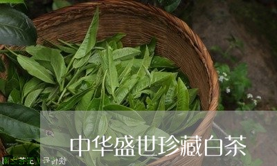 中华盛世珍藏白茶/2023061402927