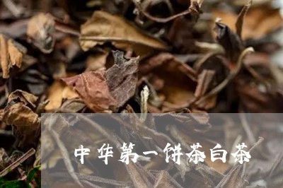 中华第一饼茶白茶/2023061457160