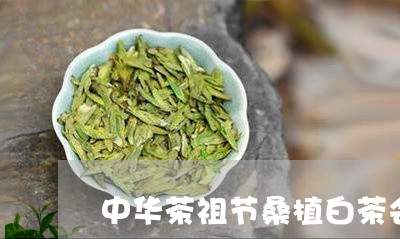 中华茶祖节桑植白茶会/2023092728361