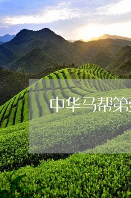 中华马帮第壹饼普洱茶/2023081673938