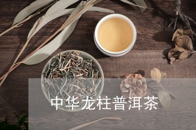 中华龙柱普洱茶/2023082606240