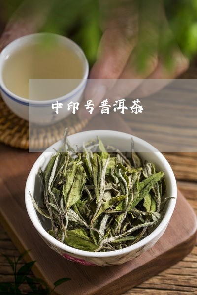 中印号普洱茶/2023042736751