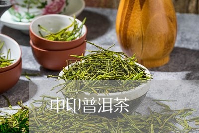 中印普洱茶/2023090514150