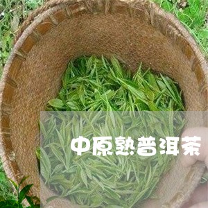 中原熟普洱茶/2023042775731