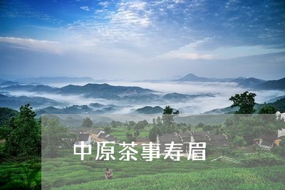 中原茶事寿眉/2023051247250