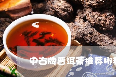 中古牌普洱茶推荐哪种好/2023050616057