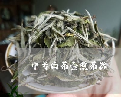 中号白茶壶煮茶器/2023061412836